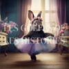 Ballerina bunnies