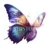 Butterflies and Candles